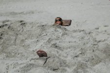 beach-TH01.jpg