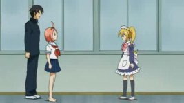 sumomo momoko 46.JPG