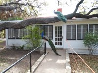 austin 336.JPG