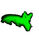 neongreenghost.gif
