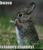 funny-pictures-bravo-bunny.jpg