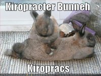 funny-pictures-bunny-chiropracter.jpg