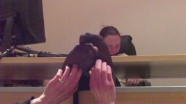 snapshot20090124183829.jpg
