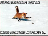 firefox.JPG