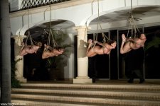 Suspension_Hogties (2).jpg