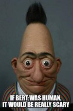 bert.jpg