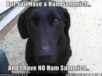ham sammich.jpg