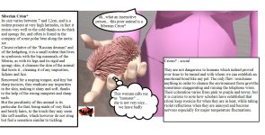 room 317 p3-n31.jpg