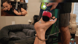 6FD87C29-52C8-4C07-A05A-18CE0B0D984C.gif