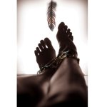 chained and feathered.jpg