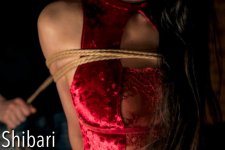 Shibari.jpg