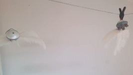 37foto2.jpg
