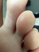 IMG_4721.jpeg