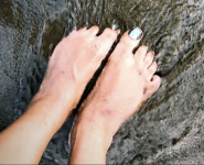 Screenshot 2024-12-29 at 2.44.15 PM.png