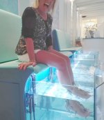 VID_20170915_19ddd5448mod.jpg