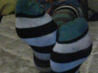 TPhoto_00005.jpg