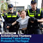 Greta2.JPEG