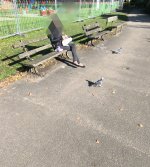 IMG_20250404_081701.jpg
