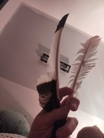 IMG_20241222_192946528.jpg