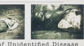 1749251942175.png