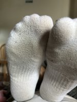 IMG_8124.jpeg
