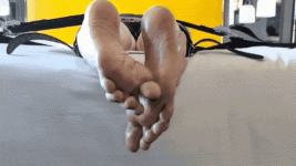 5392a02c393f40de815e0d1da4052ea8.gif