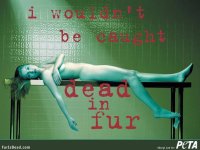 sheryl-lee-for-peta-adverts-v0-ljdk8tqcdz6f1.jpg