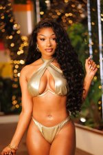 megan-thee-stallion-v0-13719wyzb68f1.jpg