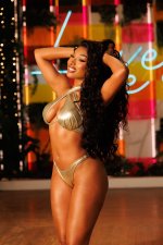 megan-thee-stallion-v0-dpwcd350c68f1.jpg