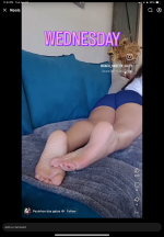 IMG_4505.png