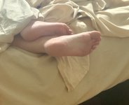 IMG_2804.jpeg