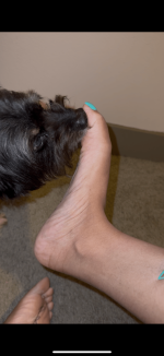 Bre (Shoe Size 9).png