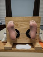Karma beige nylons.jpg
