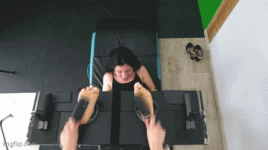 Lisie's Double Brush Tor GIF.gif