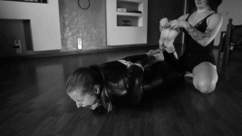 a1gos1.gif