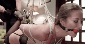 10001.gif