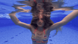 a2a2n8.gif