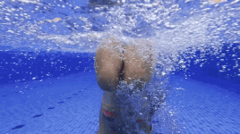 a2a3hy.gif