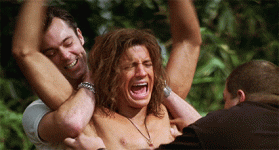cachedGif.gif