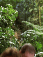 cachedGif.gif
