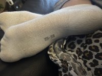 IMG_3311.jpeg