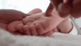 10001.gif