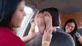 a447lo (1).gif