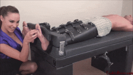 10001.gif