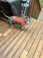 IMG_2880.jpeg
