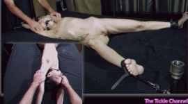 36.1.gif