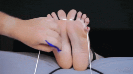 tumblr_7f72952c2757286b7cd2ef8fa703dfa2_002b7b64_540.gif