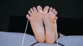 tumblr_e82faecf50feb65a55f5e4fc3fb6c46b_e399662f_540.gif
