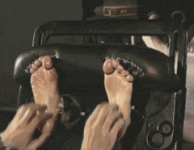10001.gif