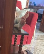 IMG_3134.JPG